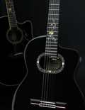 LTD2012C - MICHI -